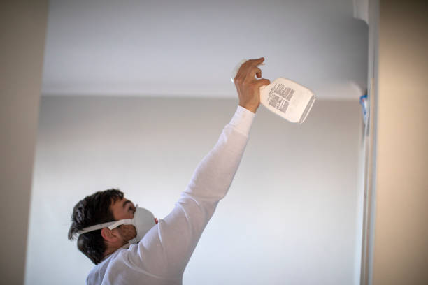 Best Mold Cleaning Services  in Trafalgar, IN
